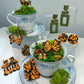 Mini Monarch Stud Pack (14k)